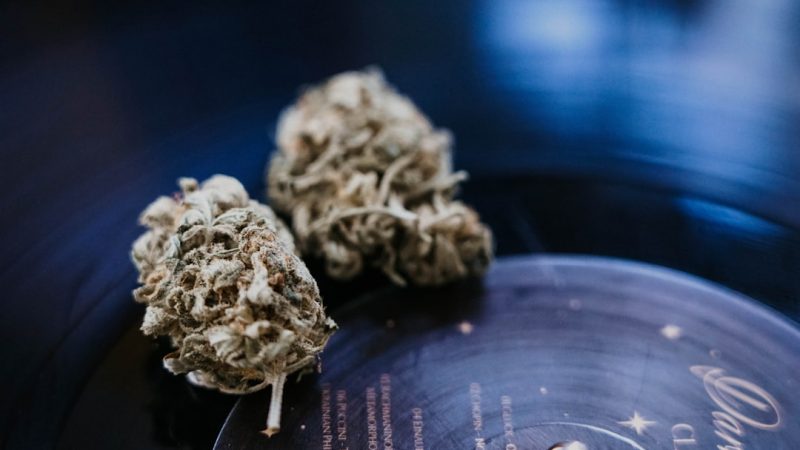 Prague’s 24/7 THC Chocolate Dispensary: A Guide to Cannabis Tourism