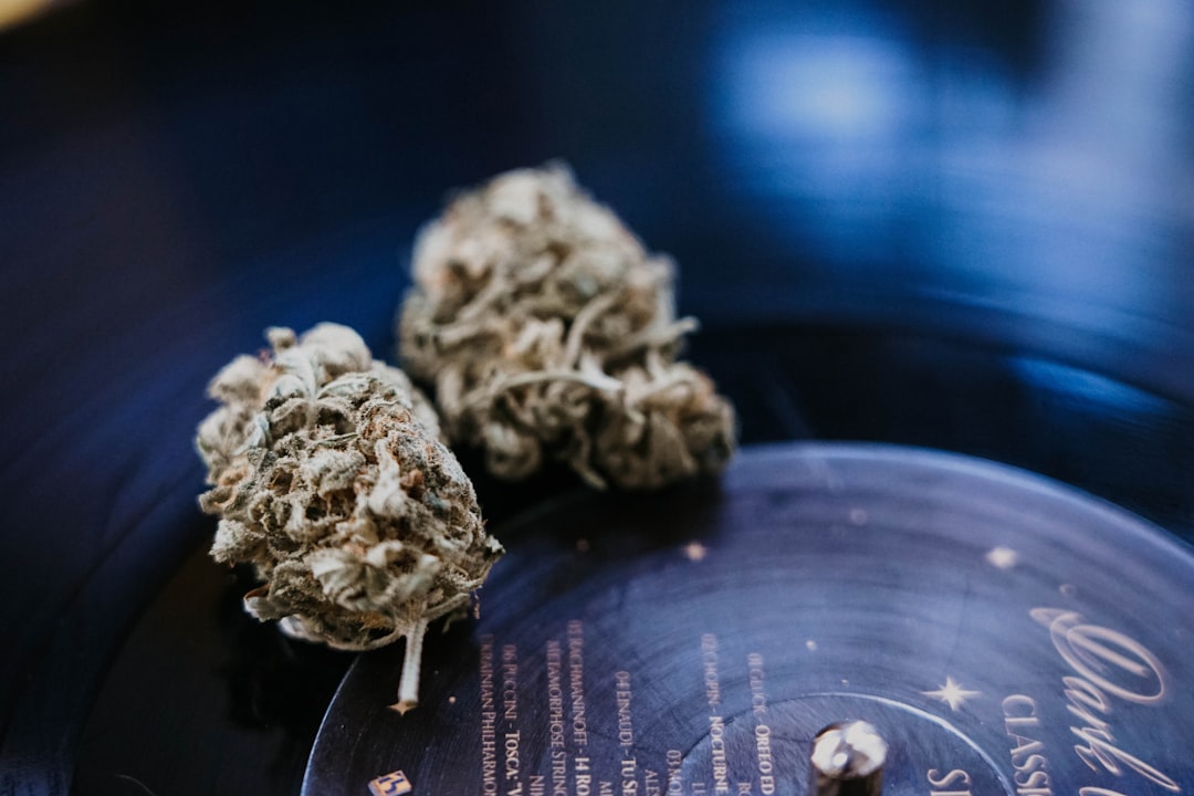 Prague’s 24/7 THC Chocolate Dispensary: A Guide to Cannabis Tourism