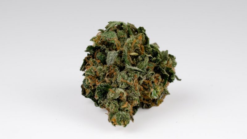 Welcome to the newest highlight of Prague’s vibrant cannabis scene – the THC chocolates collection now officially available in the Czech Republic
