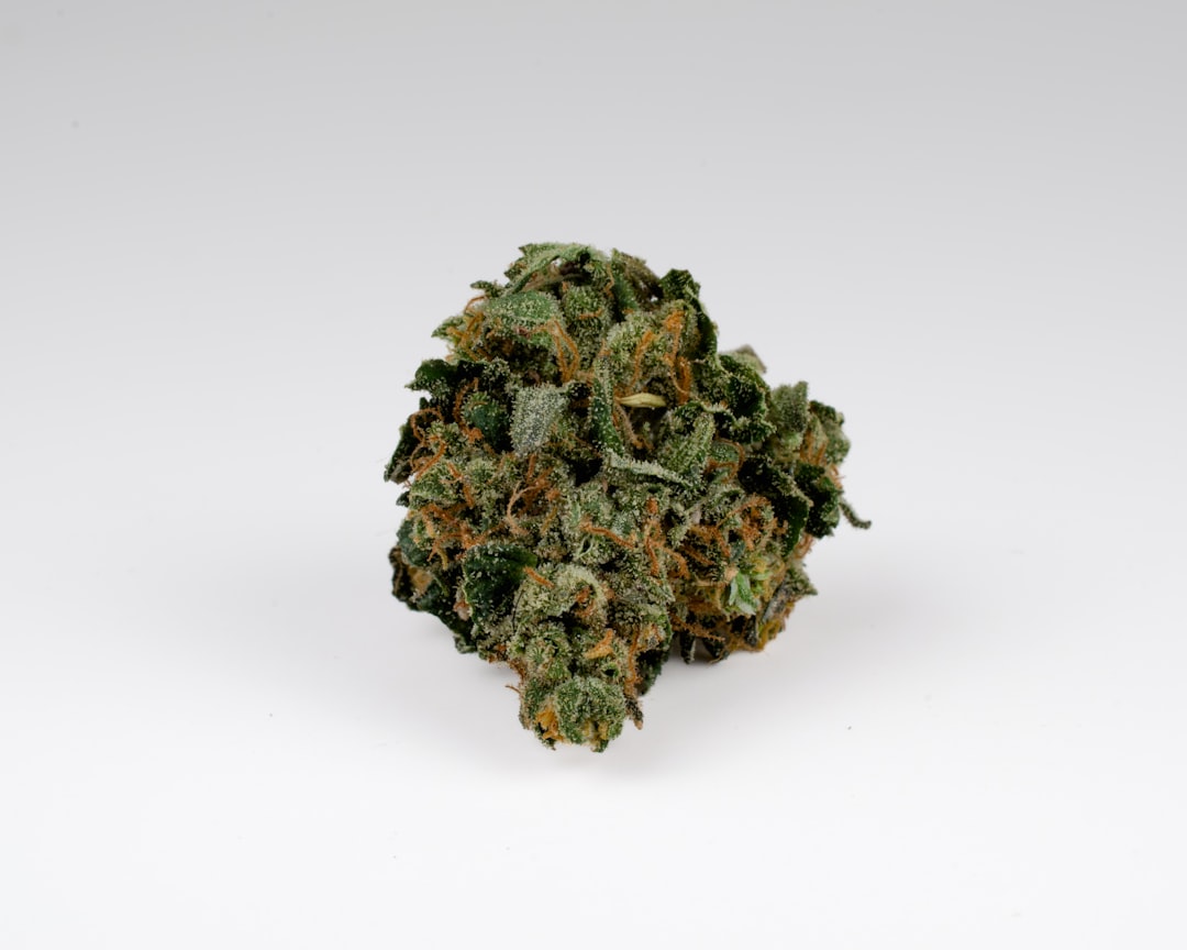 Welcome to the newest highlight of Prague’s vibrant cannabis scene – the THC chocolates collection now officially available in the Czech Republic