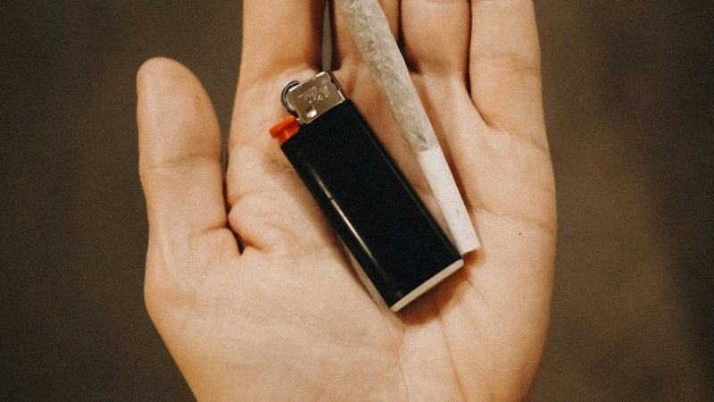 Prague, the capital of the Czech Republic, is rapidly becoming a hub for the hemp and cannabis industry.