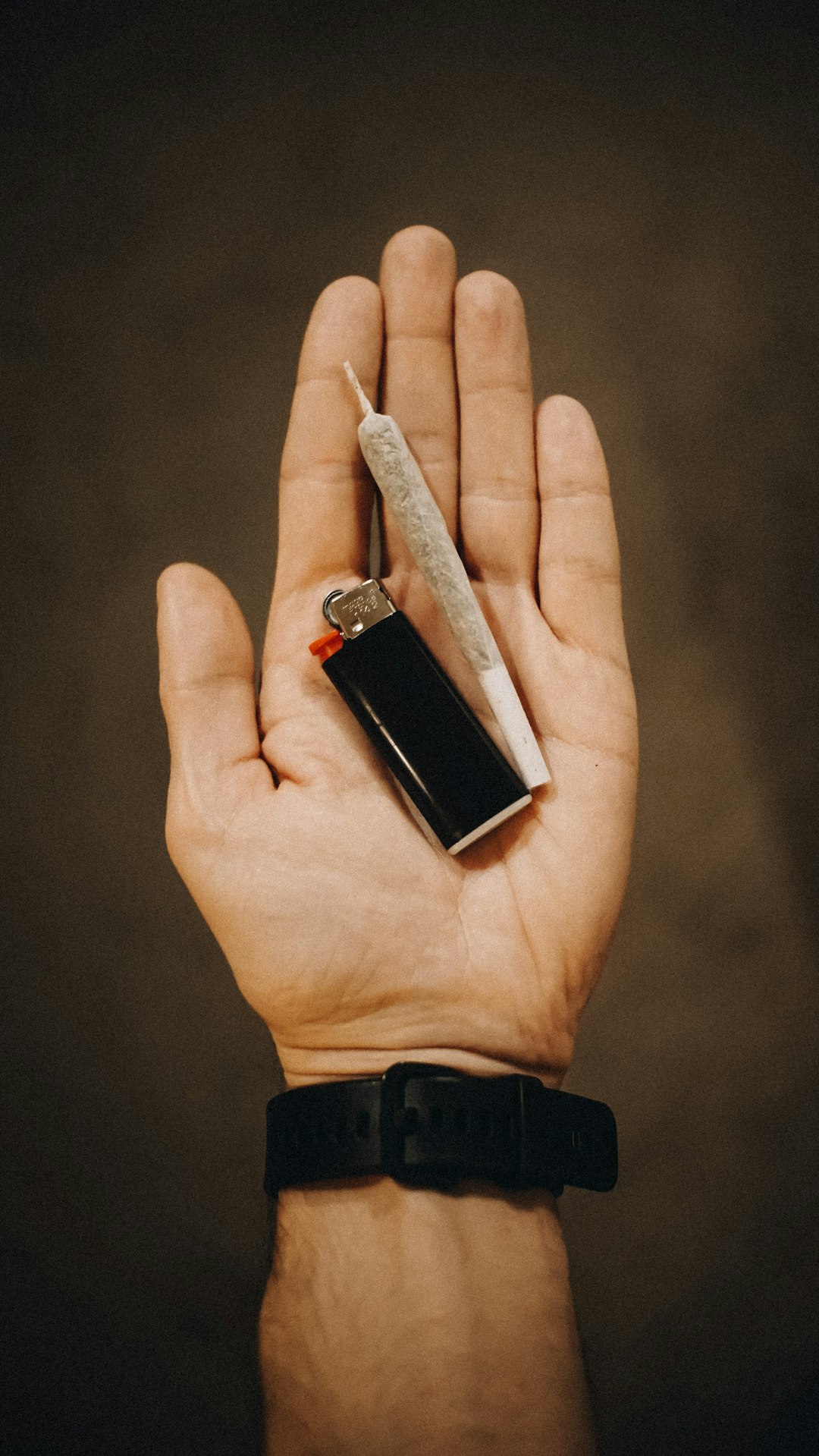 Prague, the capital of the Czech Republic, is rapidly becoming a hub for the hemp and cannabis industry.