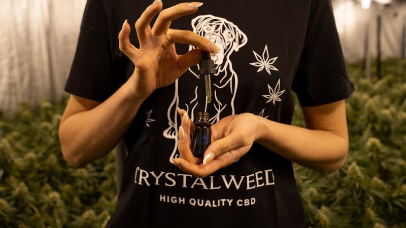 Prague Cannabis Delivery