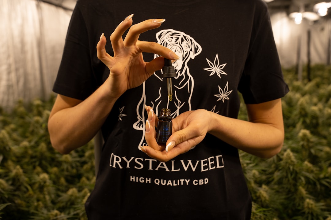 Prague Cannabis Delivery