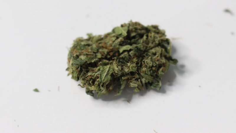 Welcome to Prague’s premier THC vape platform shop