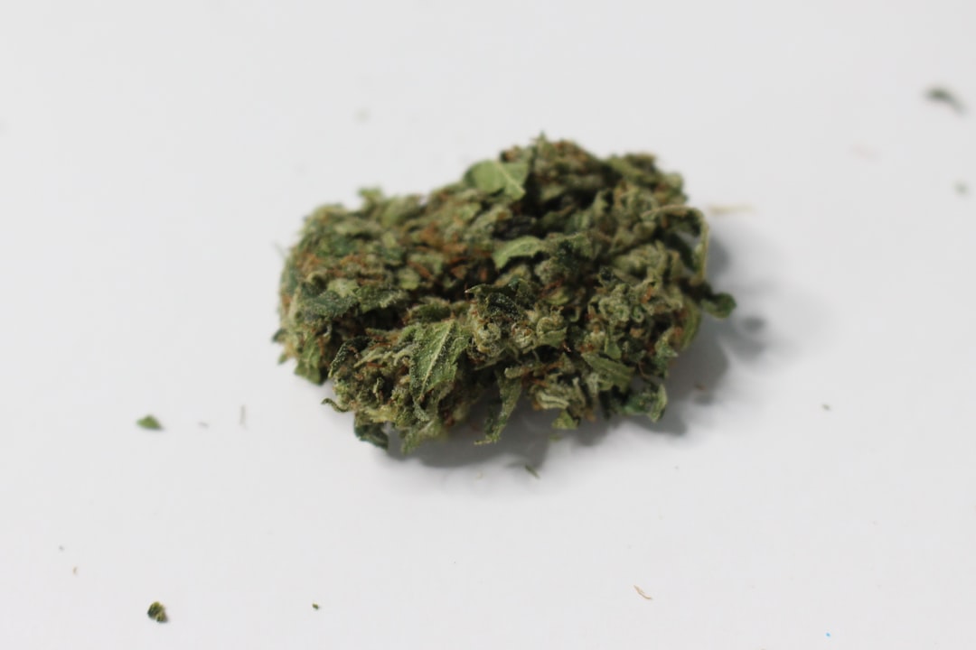 Welcome to Prague’s premier THC vape platform shop