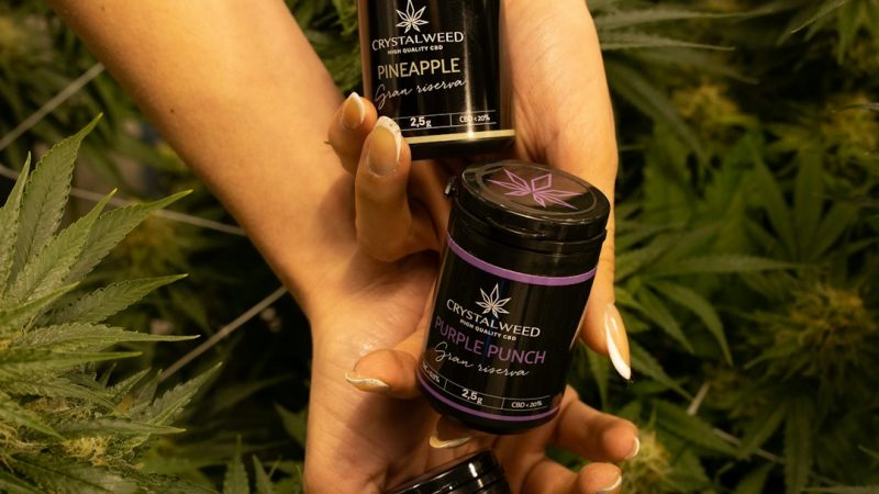 Cannabis in Prague: A Comprehensive Guide for Visitors