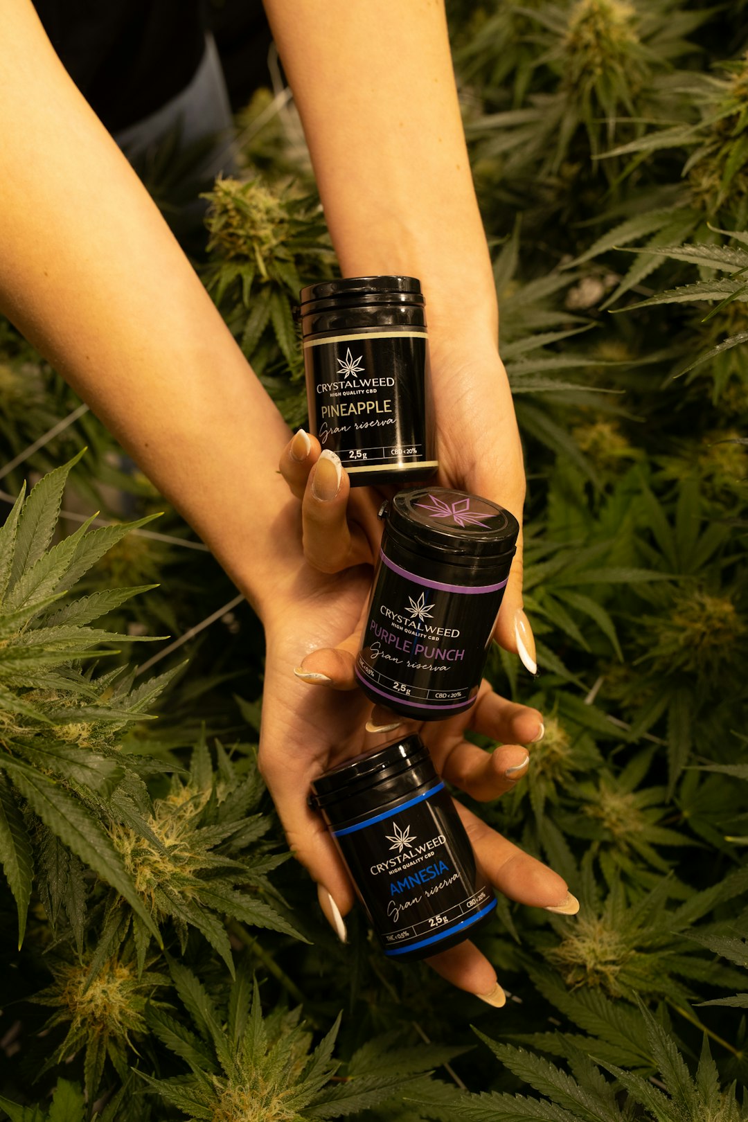 Cannabis in Prague: A Comprehensive Guide for Visitors