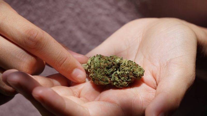 Prague Cannabis Delivery: Fast, Reliable, Same‑Day Service