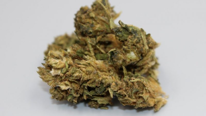 Prague Cannabis Discounts and Local Weed Deals