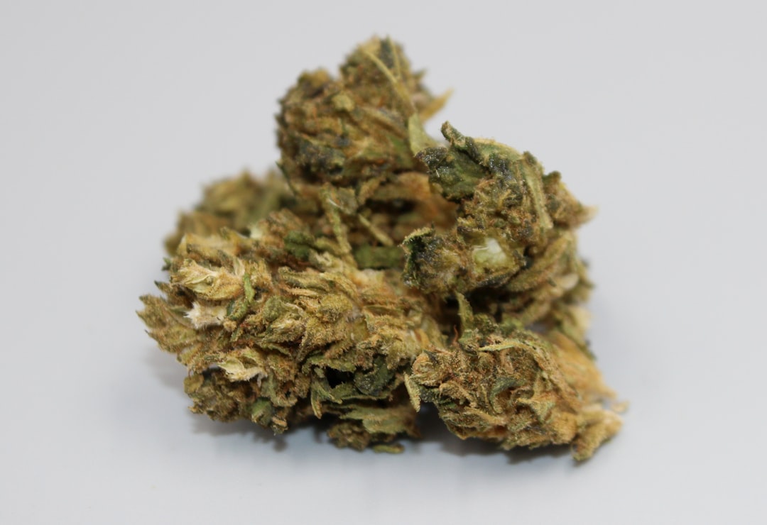 Prague Cannabis Discounts and Local Weed Deals