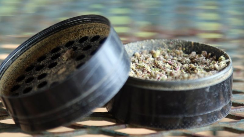 Prague’s Growing Interest in Hemp and Cannabis
