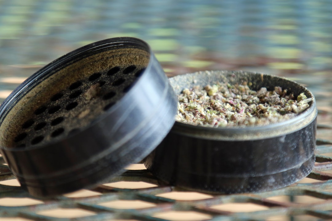 Prague’s Growing Interest in Hemp and Cannabis