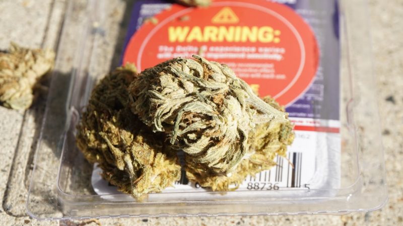 Prague’s THC Chocolate: A Guide to Buying and Enjoying Cannabis Edibles