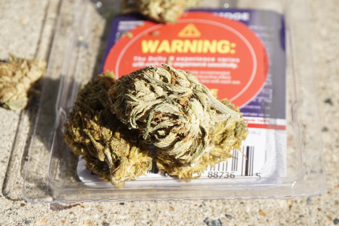 Prague’s THC Chocolate: A Guide to Buying and Enjoying Cannabis Edibles