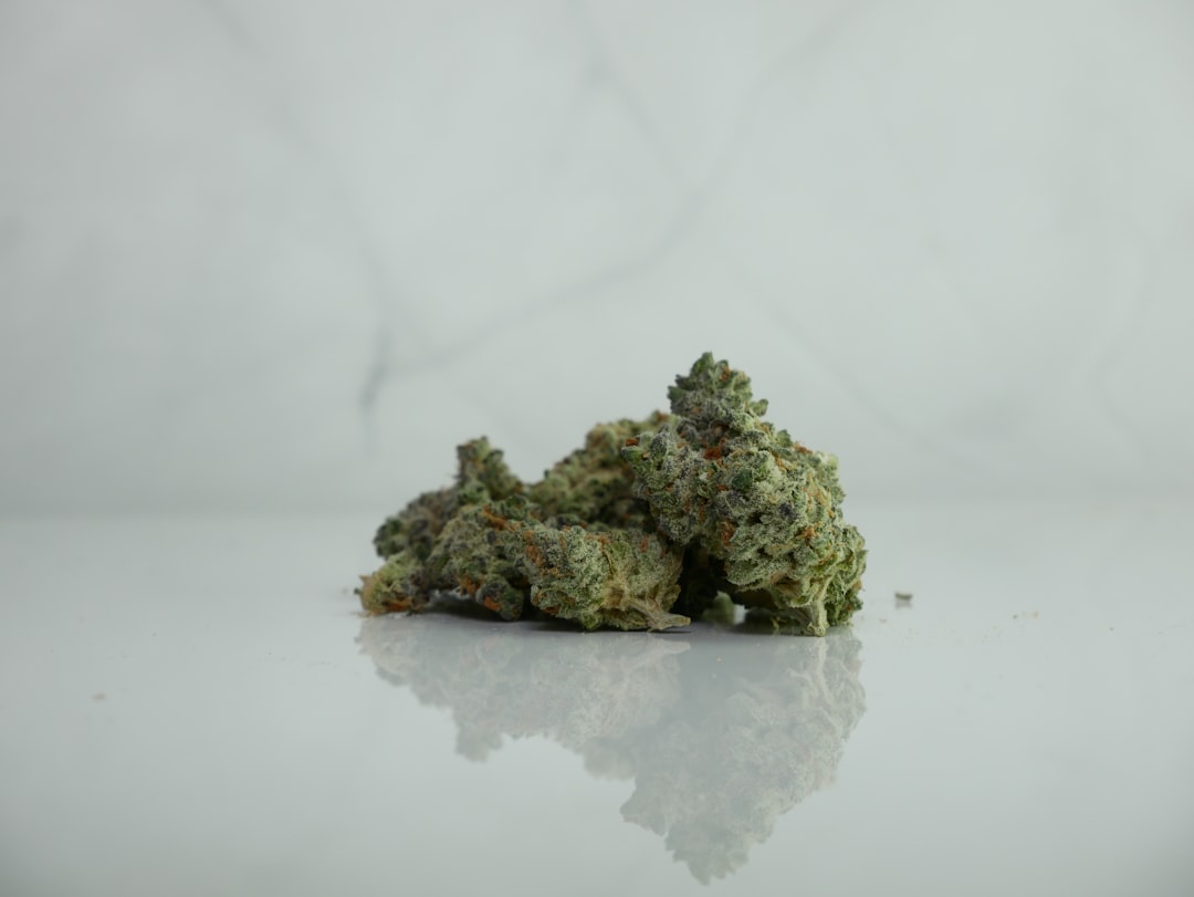 New Town (Nové Město) is one of Prague’s most vibrant districts, known for its historic streets, lively nightlife, and growing cannabis culture. If you’re looking for a THC vape selection that blends quality, variety, and affordability, our Prague vape store in New Town is your go‑to destination.