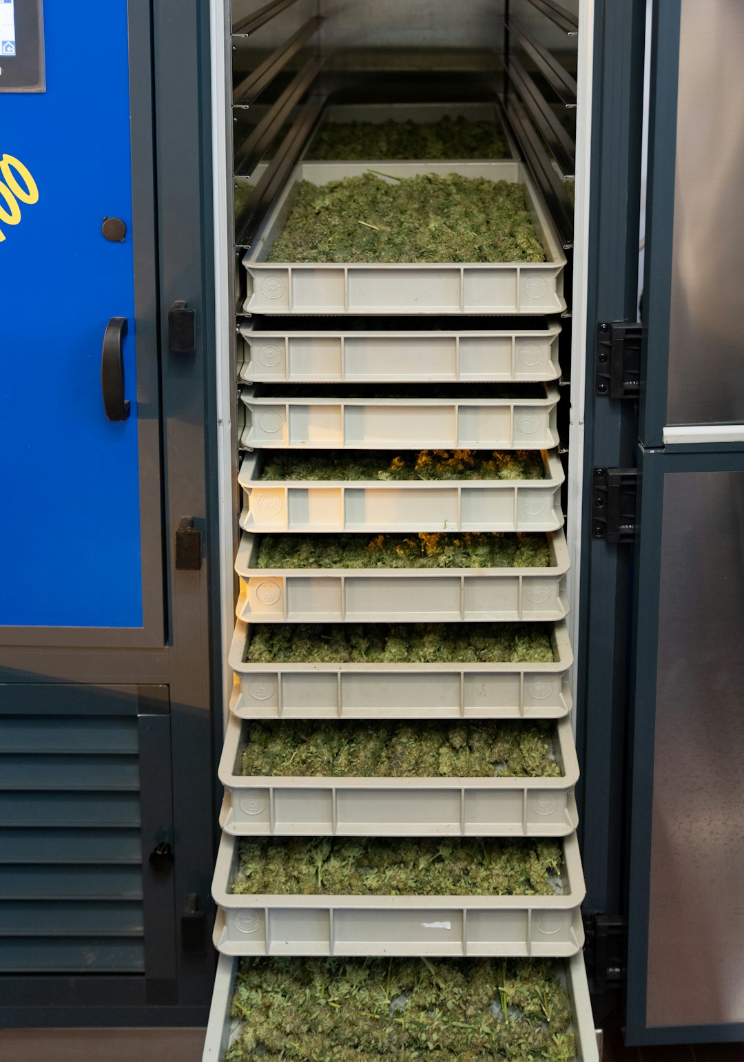 Welcome to the premier destination for cannabis, marijuana, hemp, and all‑things‑THC in Prague