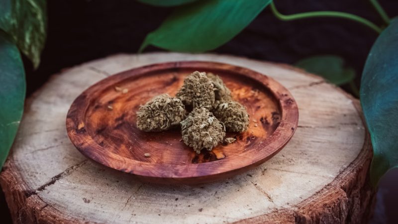 Prague Cannabis Shop