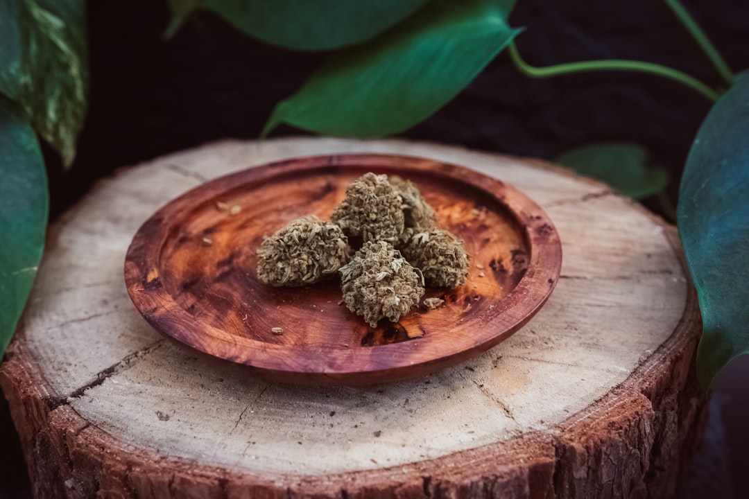 Prague Cannabis Shop