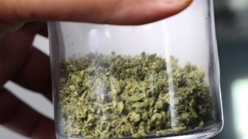 Premium THC Joints Delivered Fast in Prague