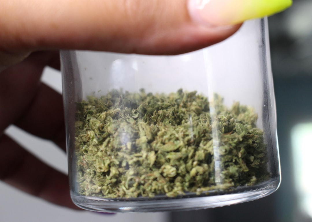 Premium THC Joints Delivered Fast in Prague