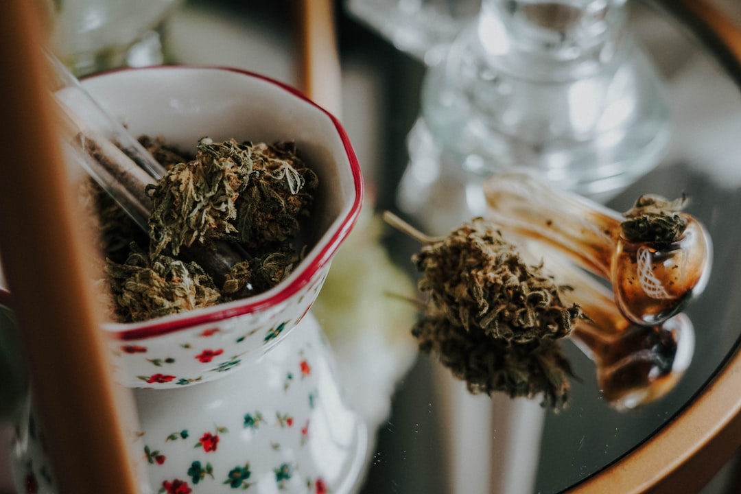Premium THC Vapes, Cannabis, and Hemp Products in Prague