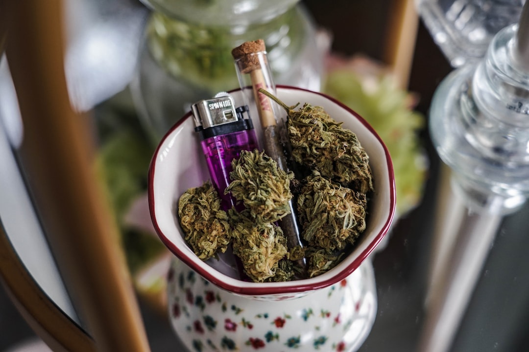 Prague’s THC Chocolate Market: A Must‑Try for Cannabis Enthusiasts