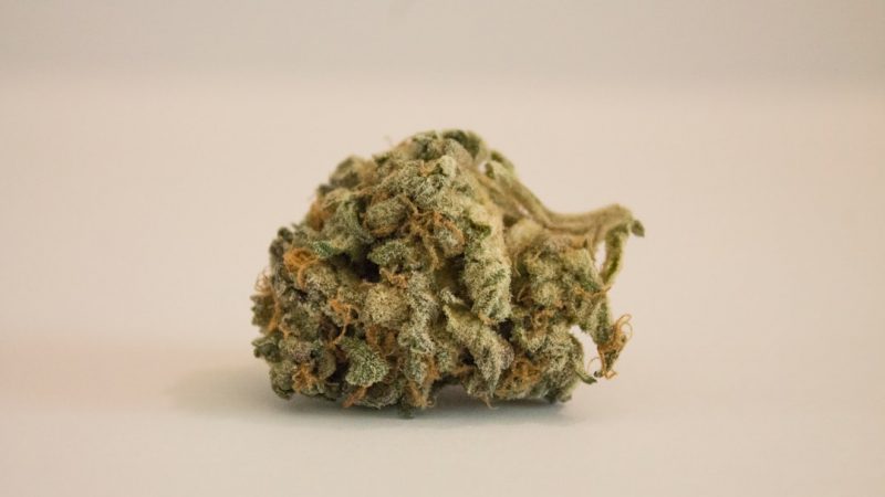 Prague Cannabis Shop: Fast Shipping and Discreet Delivery for Tourists