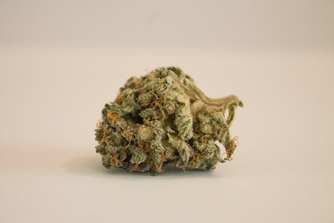 Prague Cannabis Shop: Fast Shipping and Discreet Delivery for Tourists