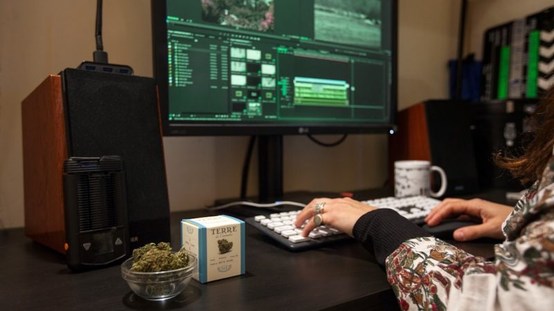 Looking for a reliable THC vape platform near me in Prague