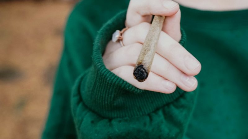 Prague Weed Collection Your Guide to Cannabis Hemp and More
