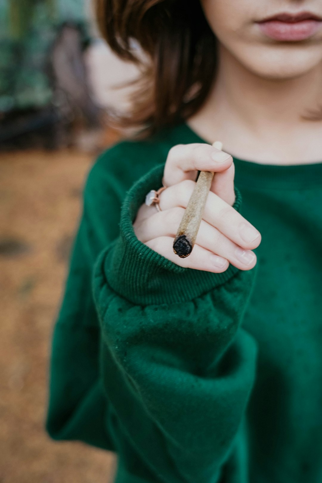Prague Weed Collection Your Guide to Cannabis Hemp and More