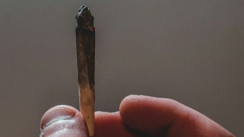 Best Weed Delivery Prague Experience