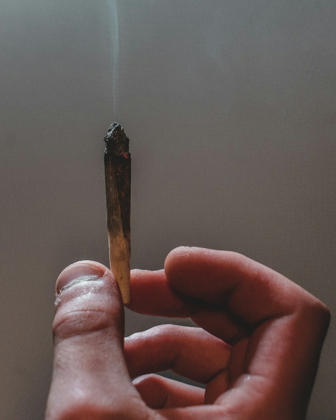Best Weed Delivery Prague Experience