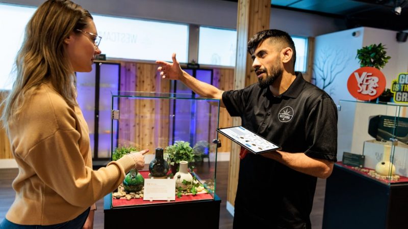 Prague Cannabis Dispensary: Legal Status, Prices, and Deals