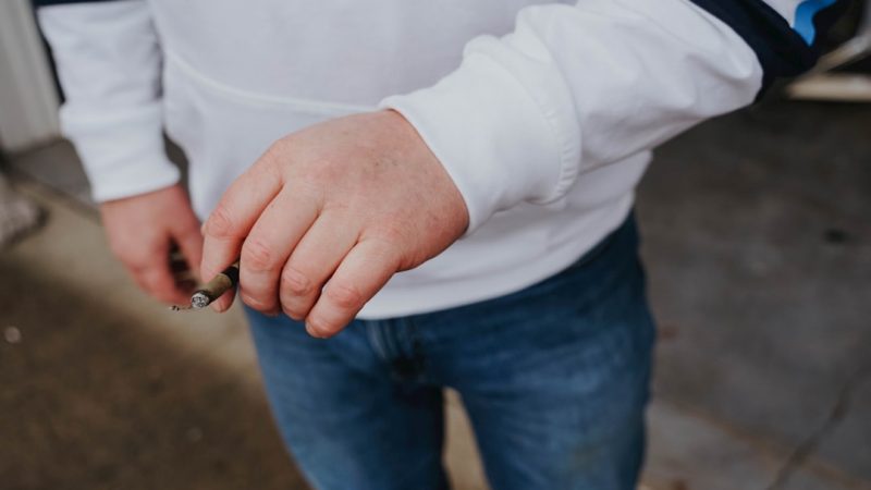 Prague Cannabis Delivery Service