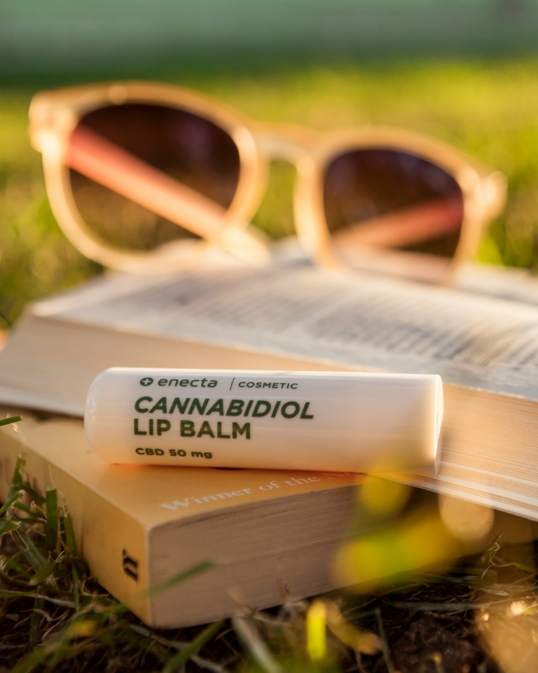 Prague Old Town Cannabis Guide