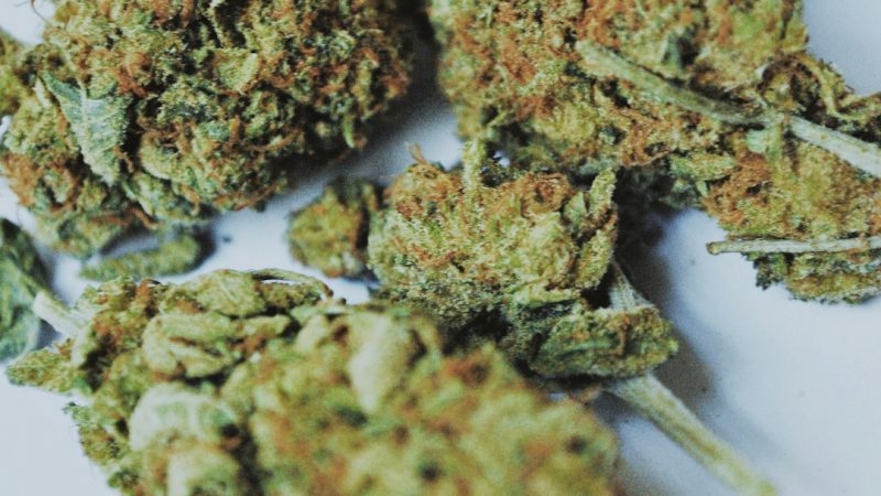 Prague’s growing cannabis culture has made it a hub for quality THC vapes‚ hemp extracts‚ and premium weed