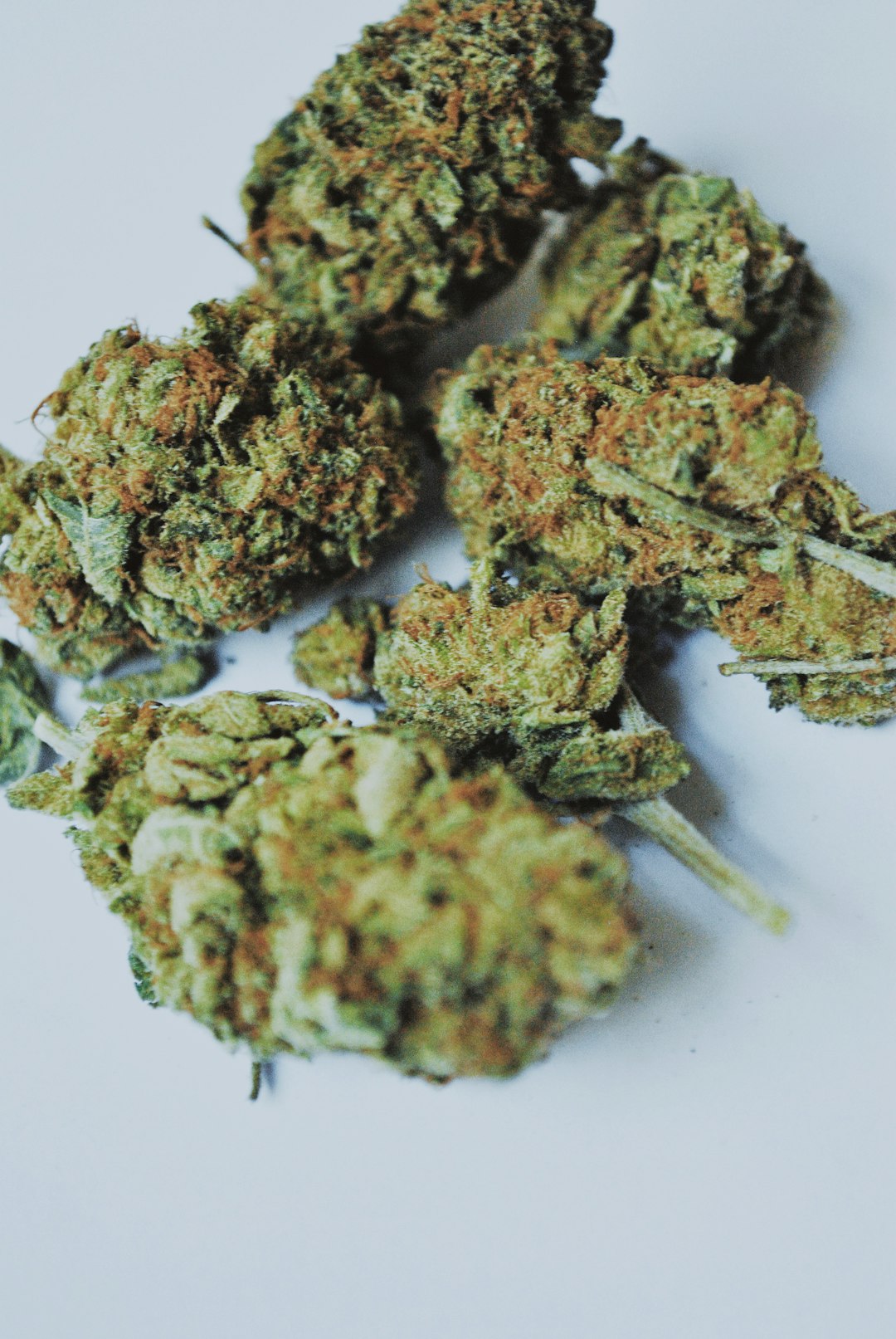 Prague’s growing cannabis culture has made it a hub for quality THC vapes‚ hemp extracts‚ and premium weed