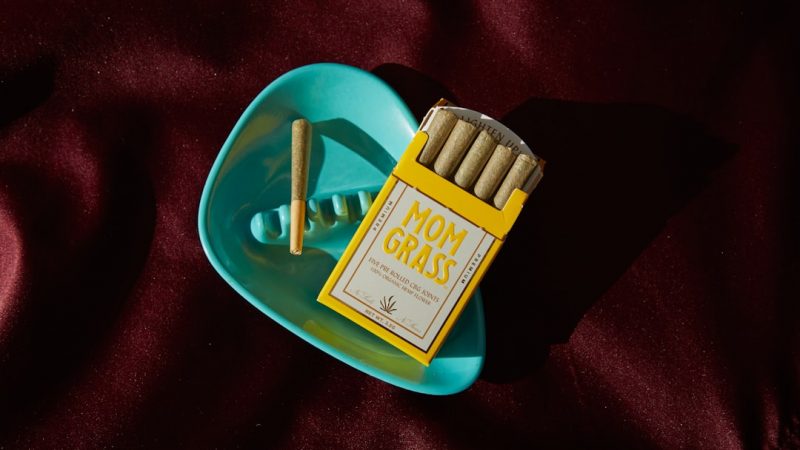 New Town (Nové Město): The Ultimate Cannabis Destination in Prague