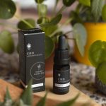 Ultimate Guide to THC Vapes, Cannabis, and Hemp Products in Prague img-3429.jpg