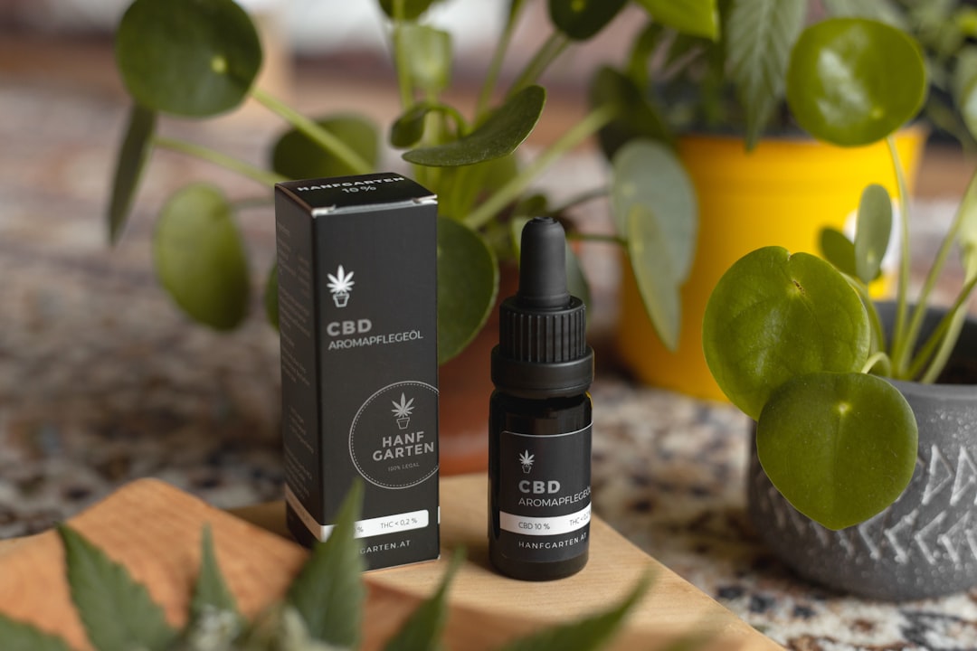 Ultimate Guide to THC Vapes, Cannabis, and Hemp Products in Prague