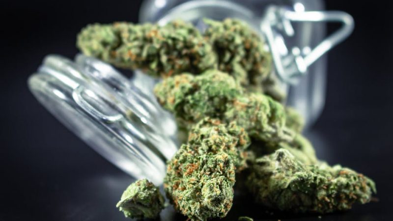 Welcome to the definitive guide for anyone looking to purchase high‑quality cannabis, marijuana, hemp, THC‑rich products, or weed in Prague
