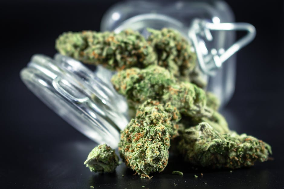 Welcome to the definitive guide for anyone looking to purchase high‑quality cannabis, marijuana, hemp, THC‑rich products, or weed in Prague