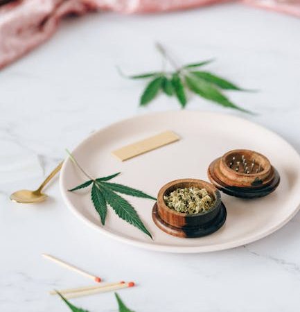Best Prague Cannabis Shop: Premium Weed, Strains, and Deals