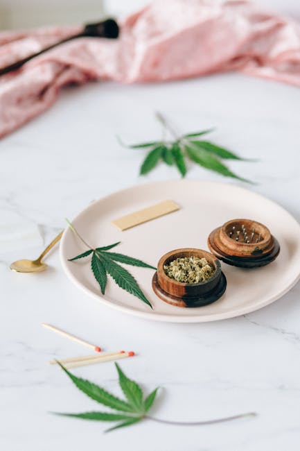 Best Prague Cannabis Shop: Premium Weed, Strains, and Deals