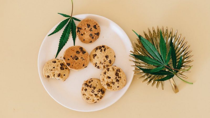 Prague has become a vibrant hub for cannabis enthusiasts