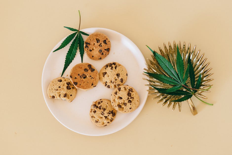 Prague has become a vibrant hub for cannabis enthusiasts