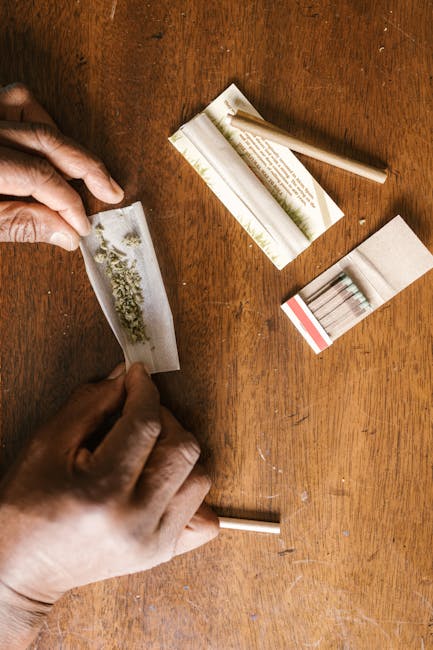 Prague is not only the capital of the Czech Republic, it’s also a growing hub for cannabis culture