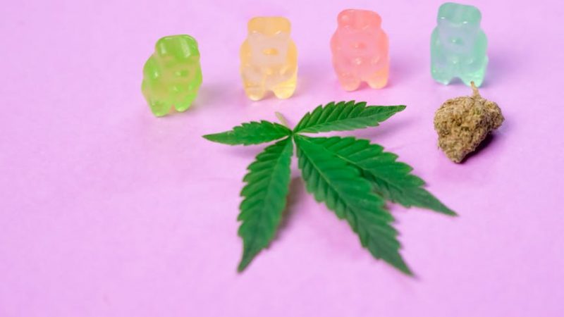 Looking for a reliable, fast, and discreet way to get high‑quality hemp products, cannabis, or marijuana in Prague?